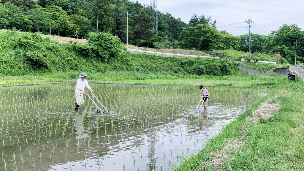 田車での除草