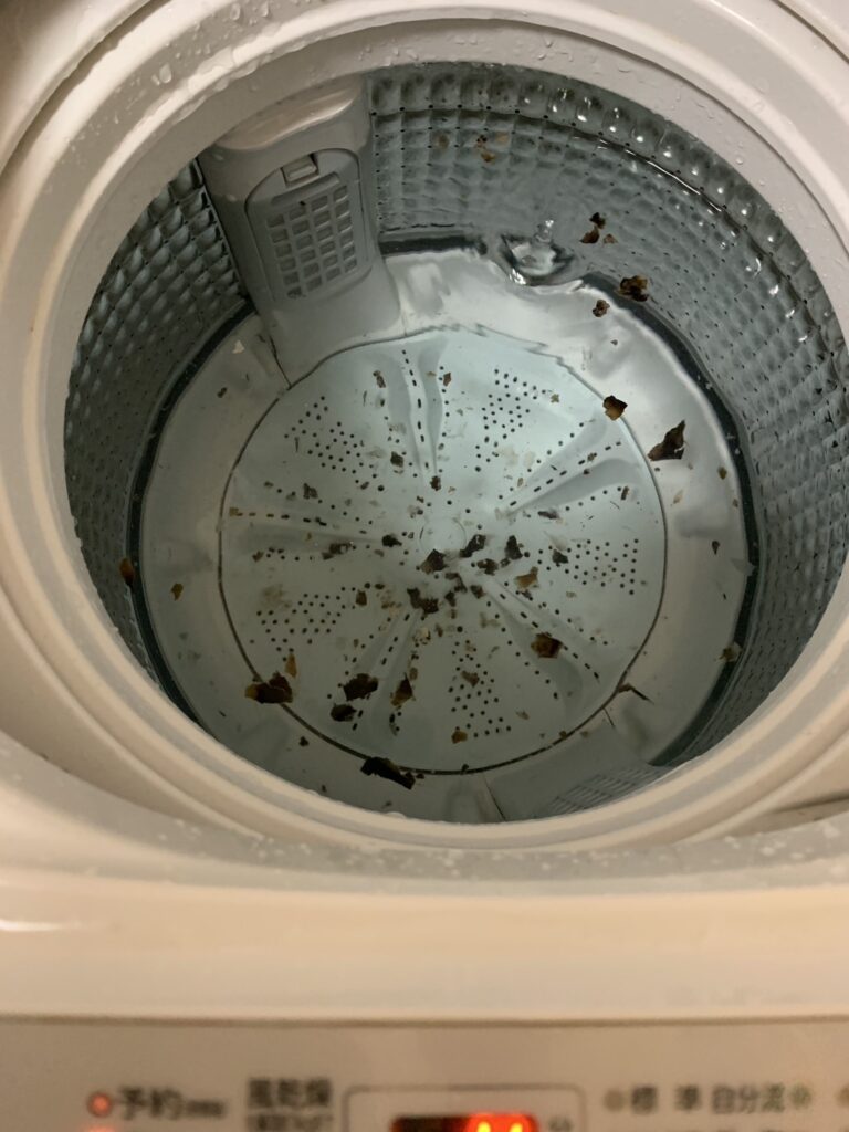 汚れがでてきた洗濯機の中