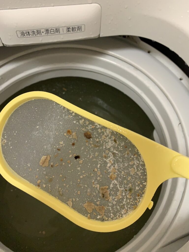 汚れがでてきた洗濯機の中